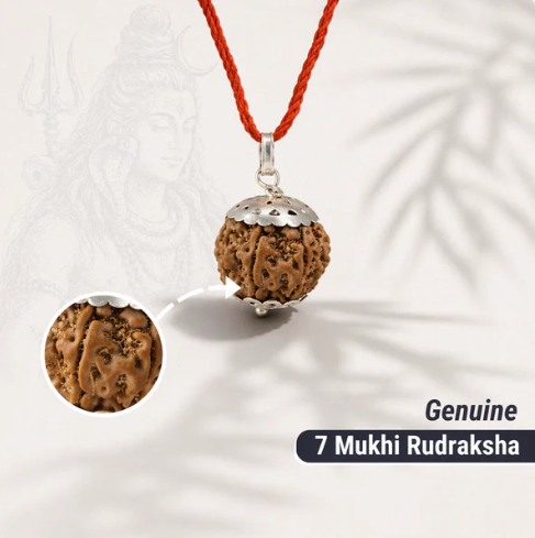 AUTHENTIC NEPALI 7-MUKHI RUDRAKSH – Saat Mukhi | For Wealth and Money