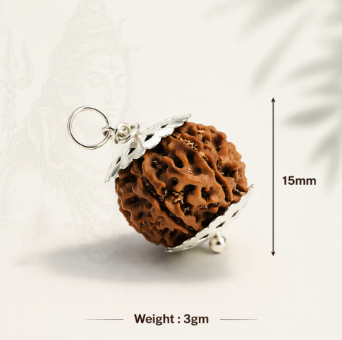 AUTHENTIC NEPALI 7-MUKHI RUDRAKSH – Saat Mukhi | For Wealth and Money